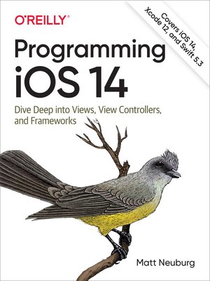 Programming iOS 14 - ebook